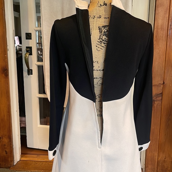 CAROL CRAIG 1970’s A-Line Mod Vintage Sz 12 - Picture 8 of 15